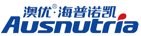 ������ҵ