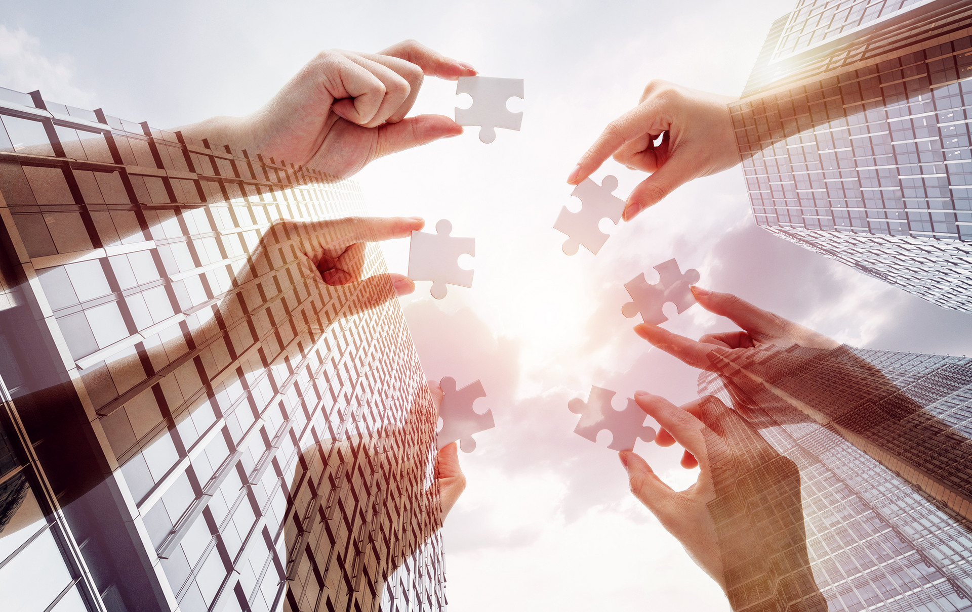 Ψһ��������Ϣ��Ϊ2024��㶫ʡ��������˫������̬����ͬ��